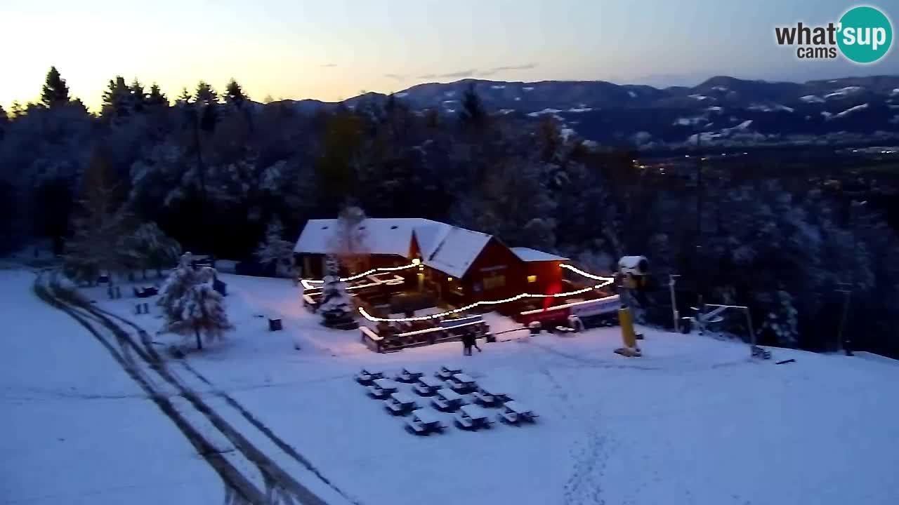 Webcam Pohorje Trikotna Jasa | Poštela