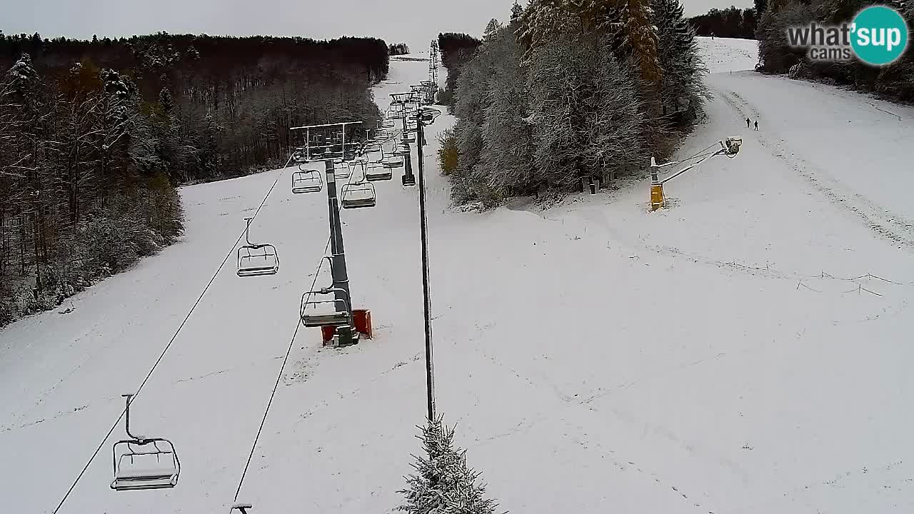 Webcam Pohorje Trikotna Jasa | Poštela