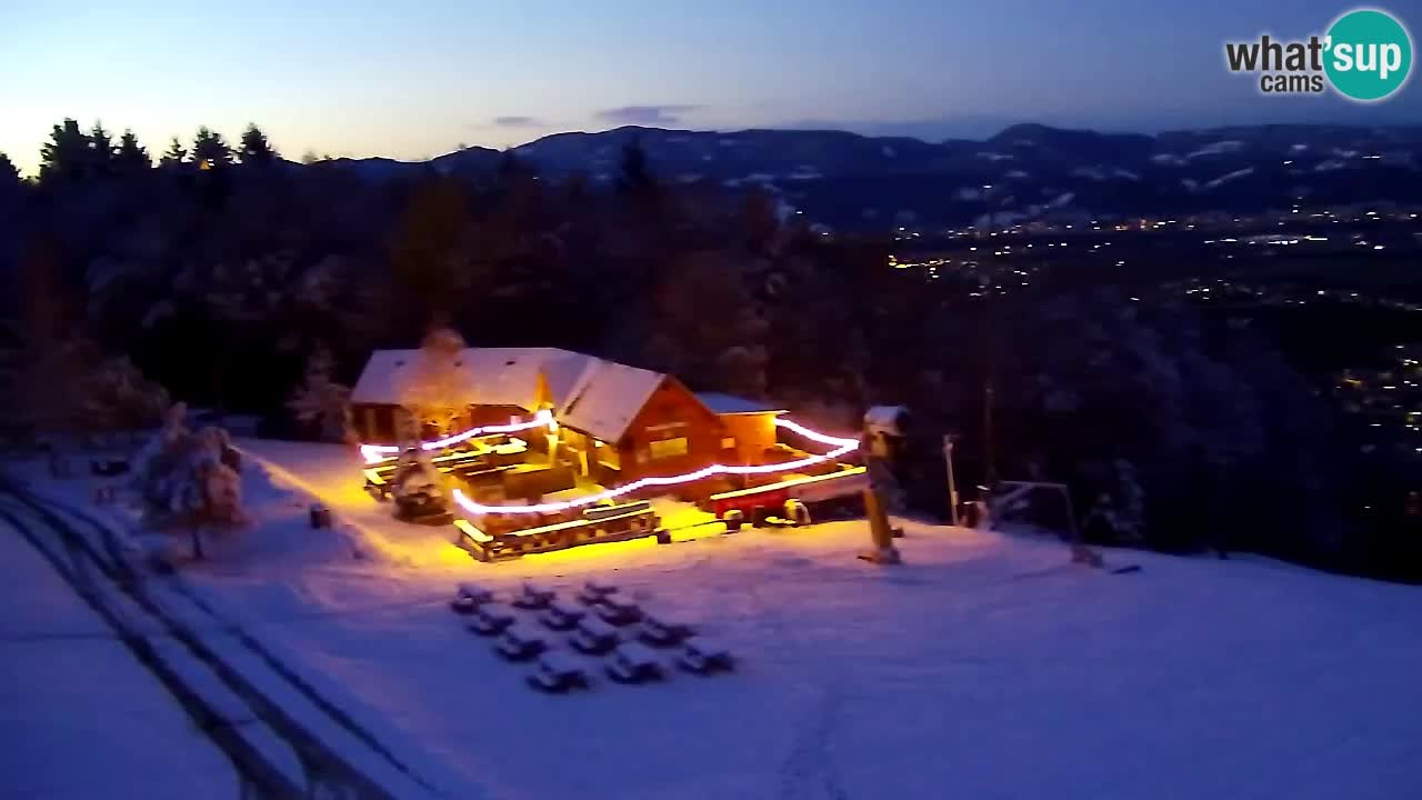 Web Camera Pohorje Trikotna Jasa | Poštela