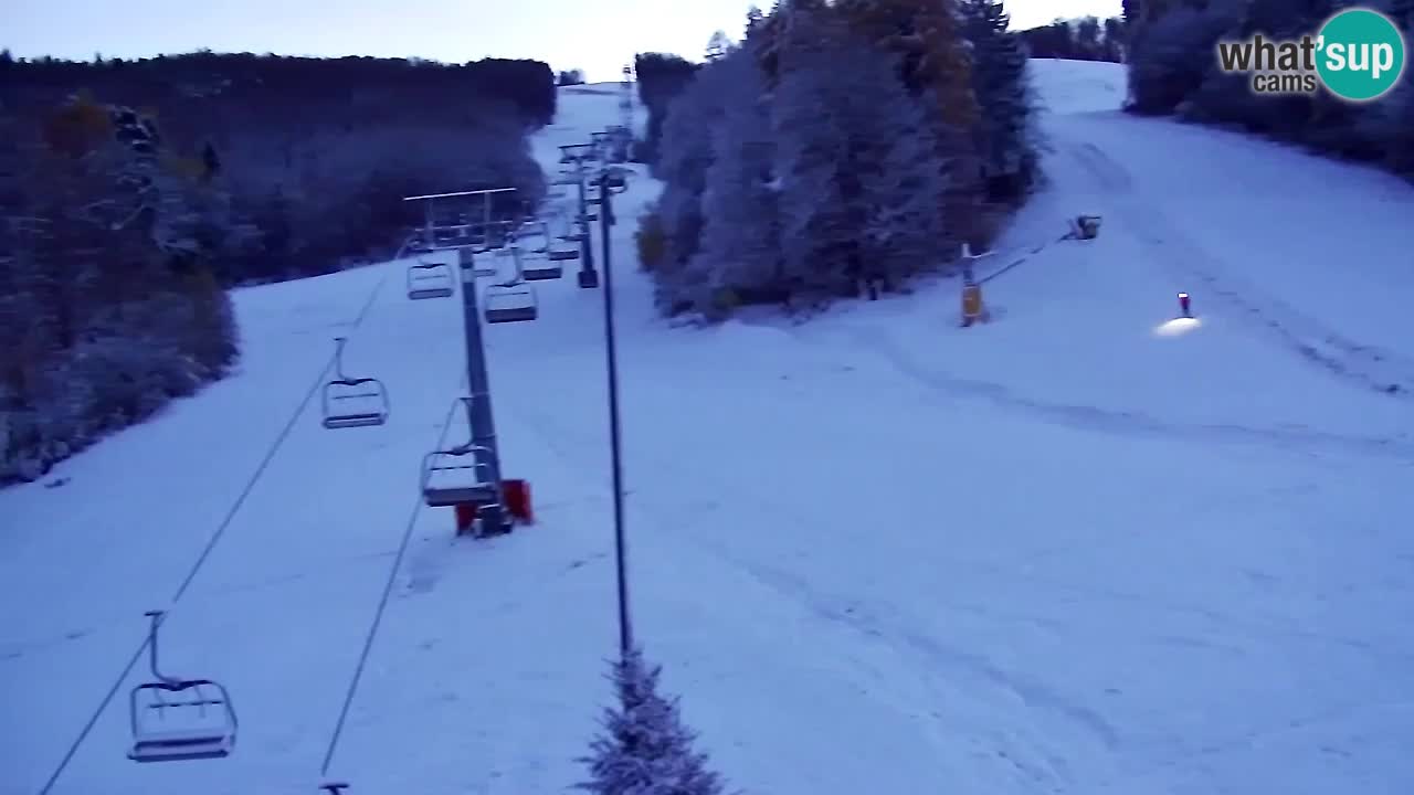 Web Camera Pohorje Trikotna Jasa | Poštela