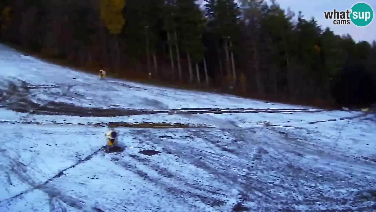 Webcam Pohorje Trikotna Jasa | Poštela