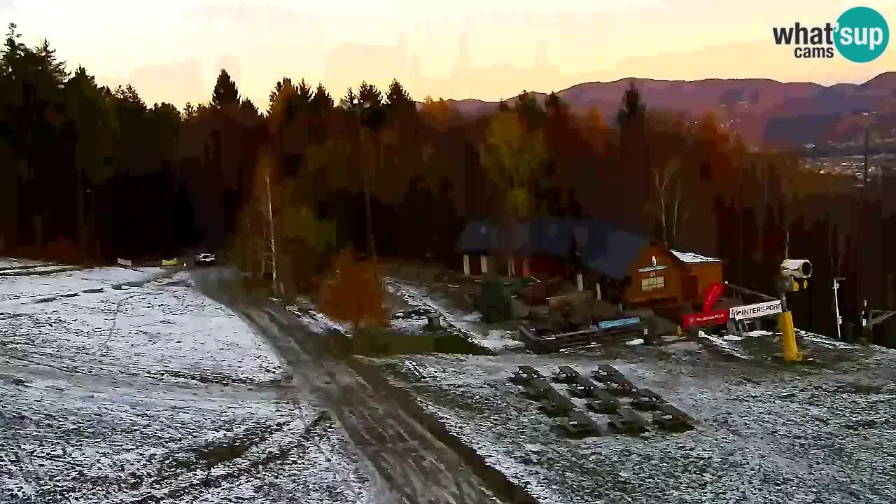 Webcam Pohorje Trikotna Jasa | Poštela