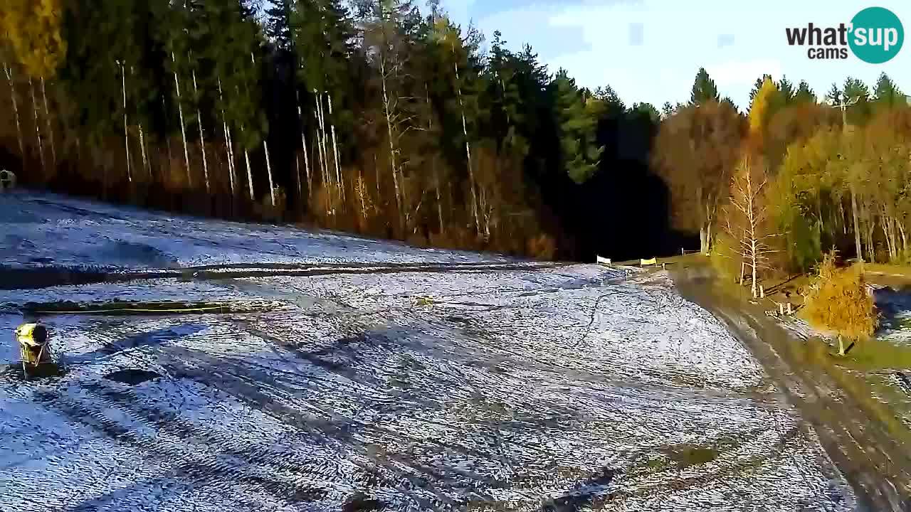 Web Camera Pohorje Trikotna Jasa | Poštela