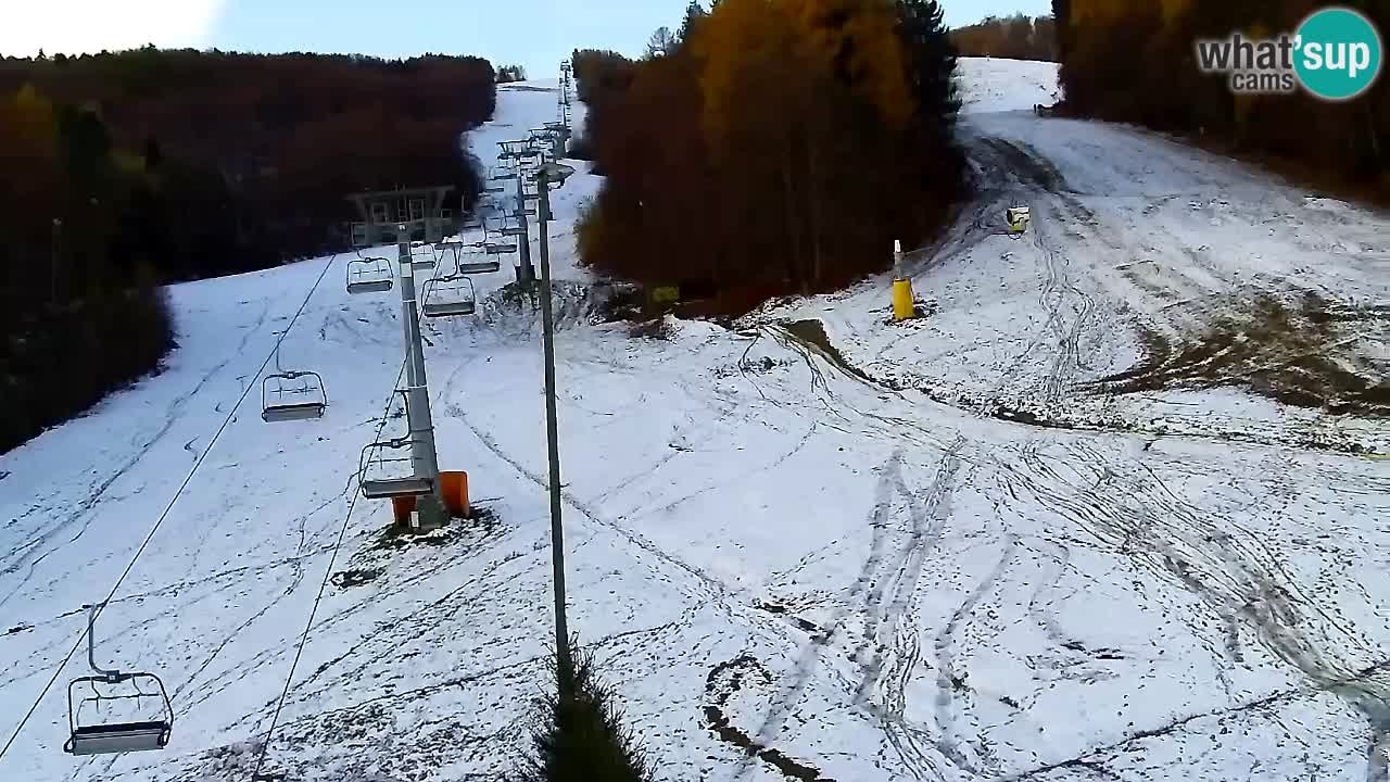 Web Camera Pohorje Trikotna Jasa | Poštela