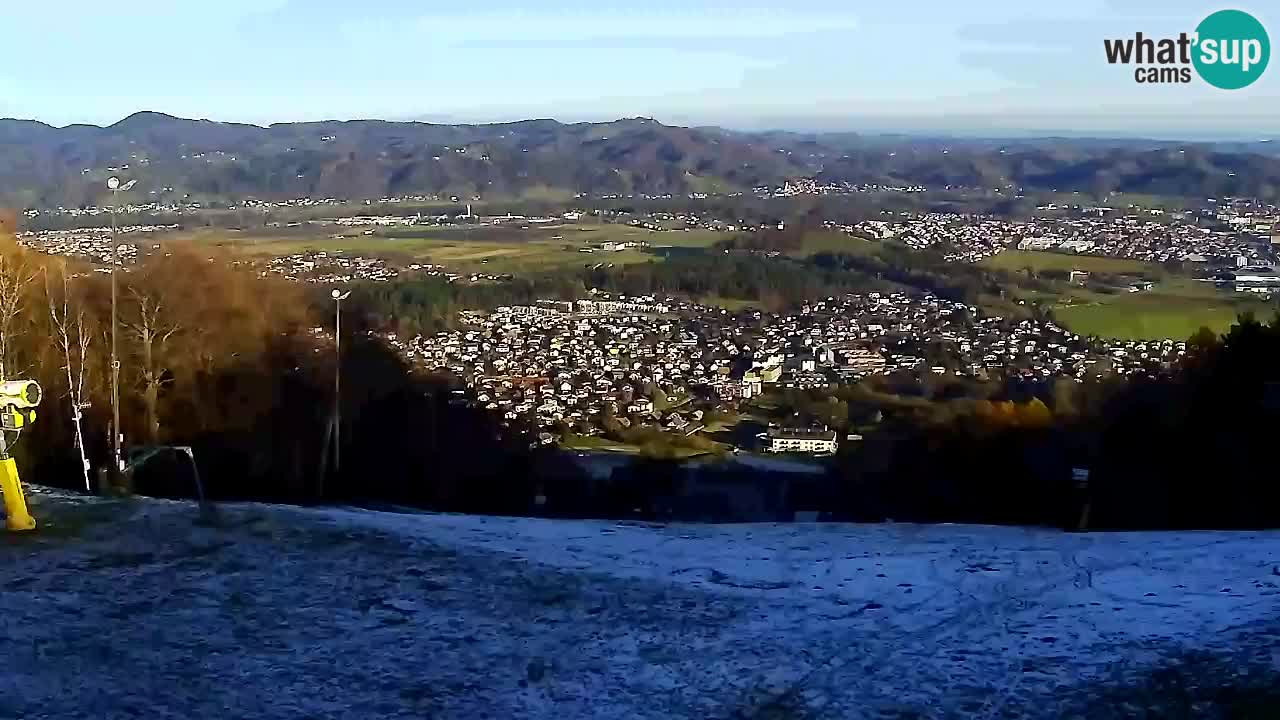 Webcam Pohorje Trikotna Jasa | Poštela