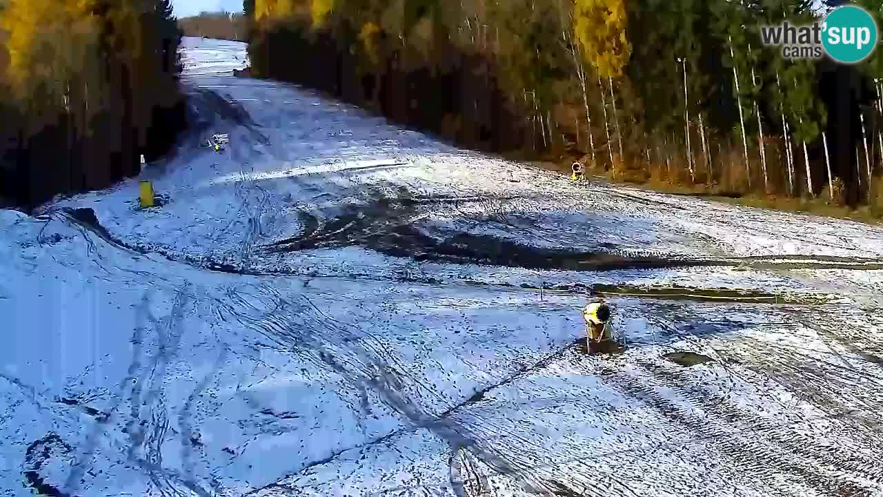 Webcam Pohorje Trikotna Jasa | Poštela