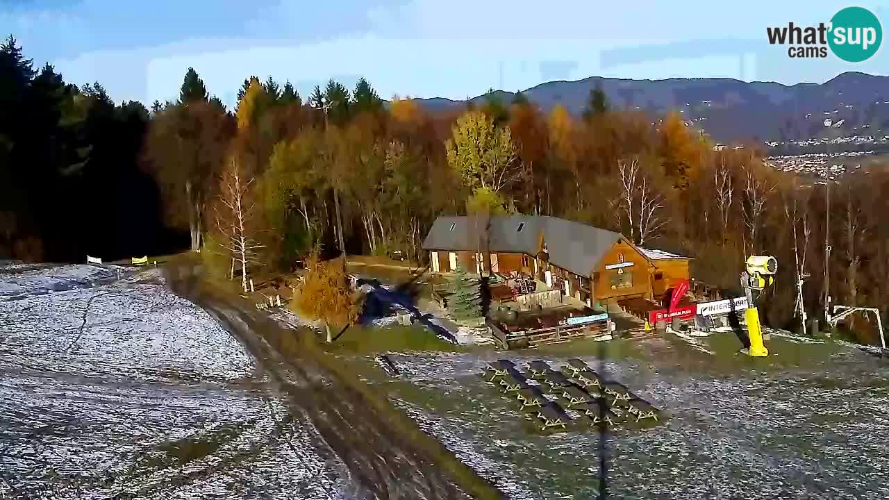 Web Camera Pohorje Trikotna Jasa | Poštela