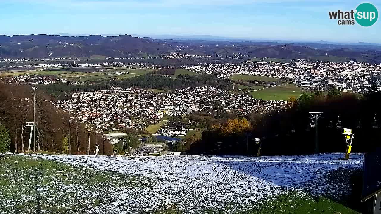 Webcam Pohorje Trikotna Jasa | Poštela