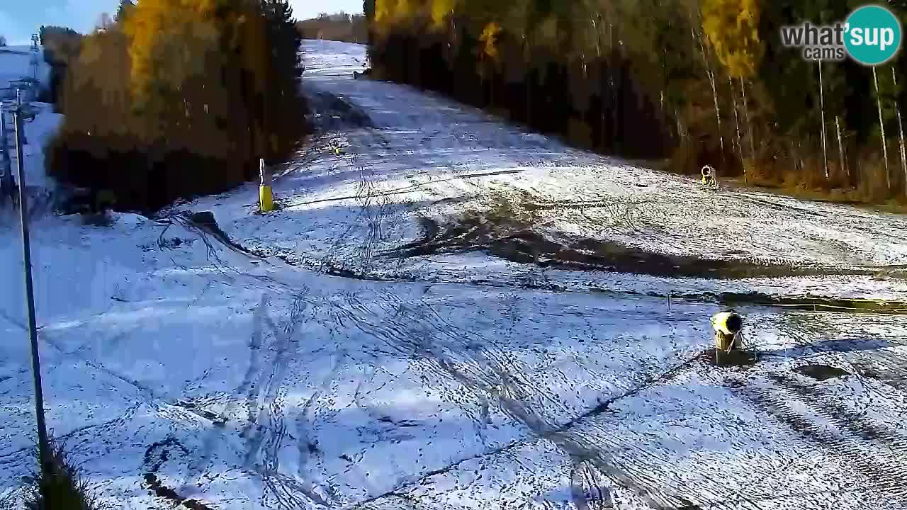 Webcam Pohorje Trikotna Jasa | Poštela