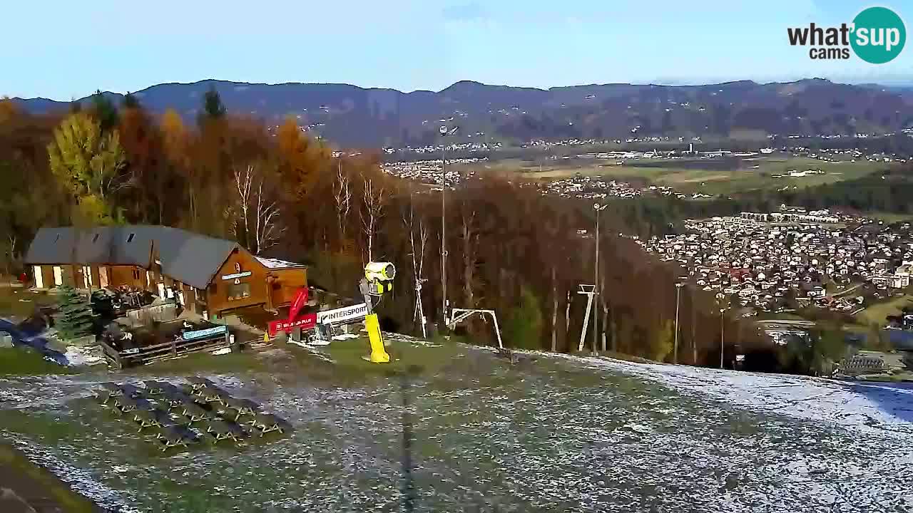 Web Camera Pohorje Trikotna Jasa | Poštela