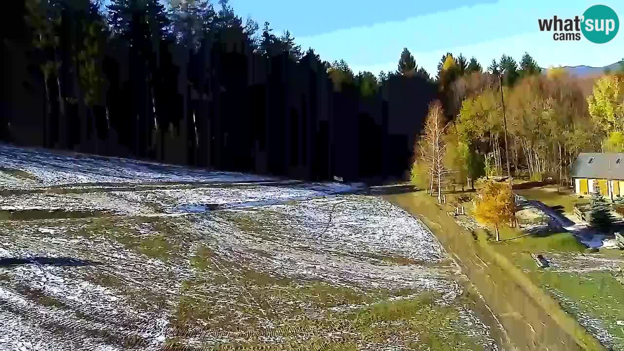 Web Camera Pohorje Trikotna Jasa | Poštela