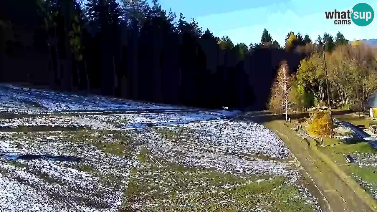 Web Camera Pohorje Trikotna Jasa | Poštela