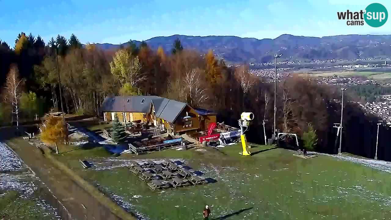 Web Camera Pohorje Trikotna Jasa | Poštela