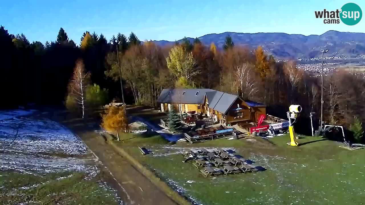 Web Camera Pohorje Trikotna Jasa | Poštela