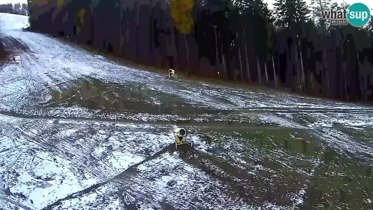 Webcam Pohorje Trikotna Jasa | Poštela