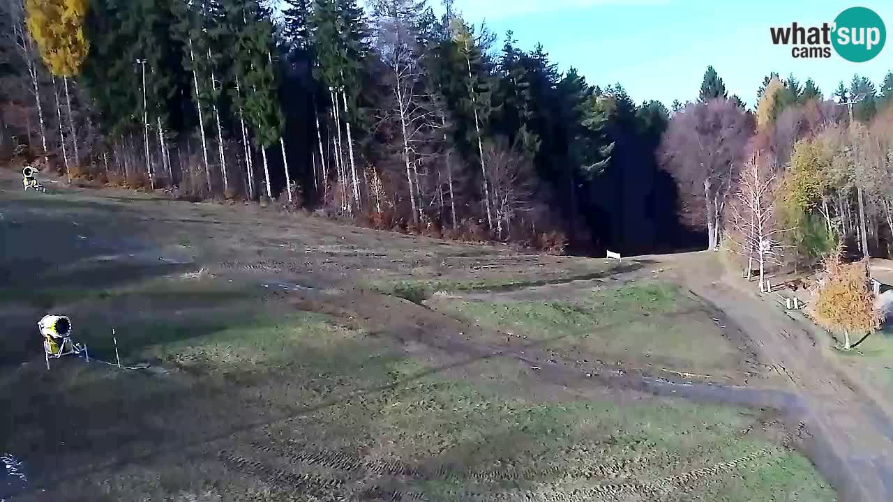 Web Camera Pohorje Trikotna Jasa | Poštela