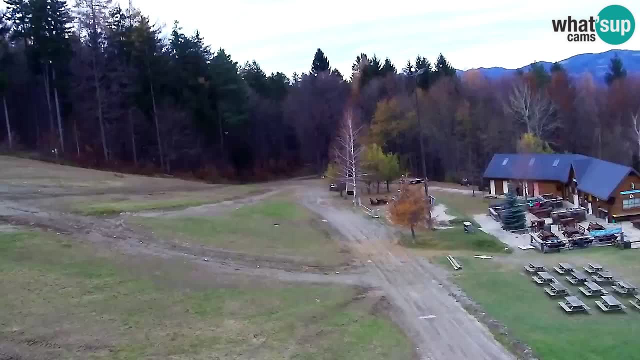 Web Camera Pohorje Trikotna Jasa | Poštela