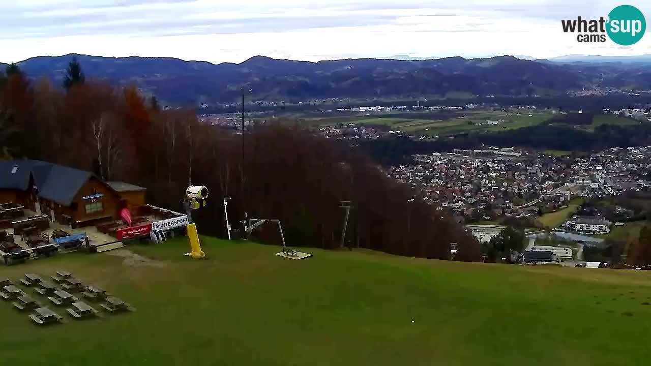 Web Camera Pohorje Trikotna Jasa | Poštela