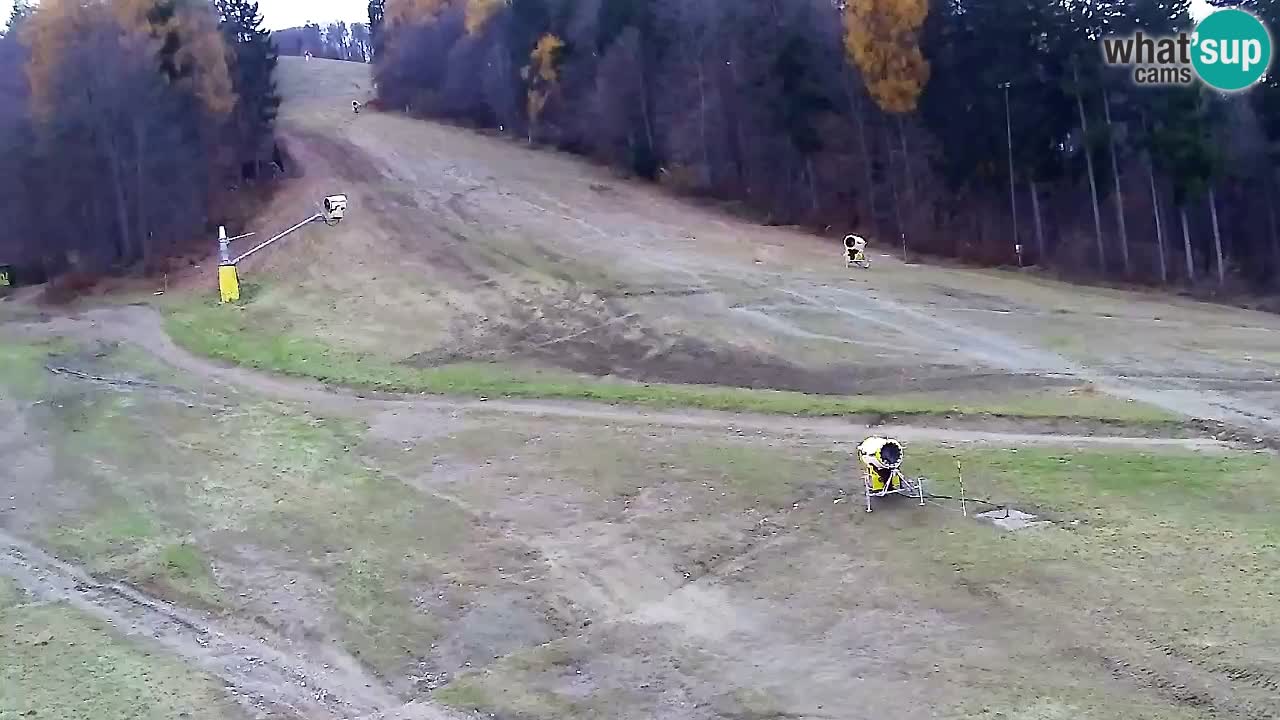 Web Camera Pohorje Trikotna Jasa | Poštela