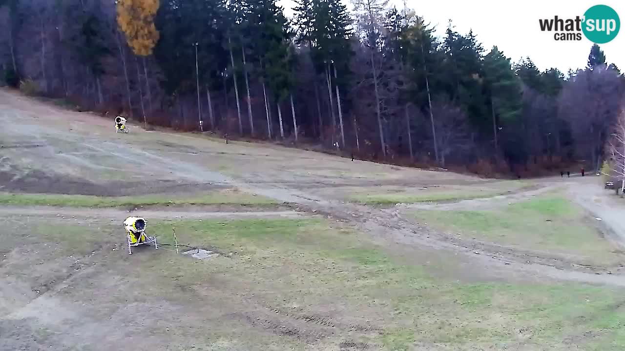 Webcam Pohorje Trikotna Jasa | Poštela