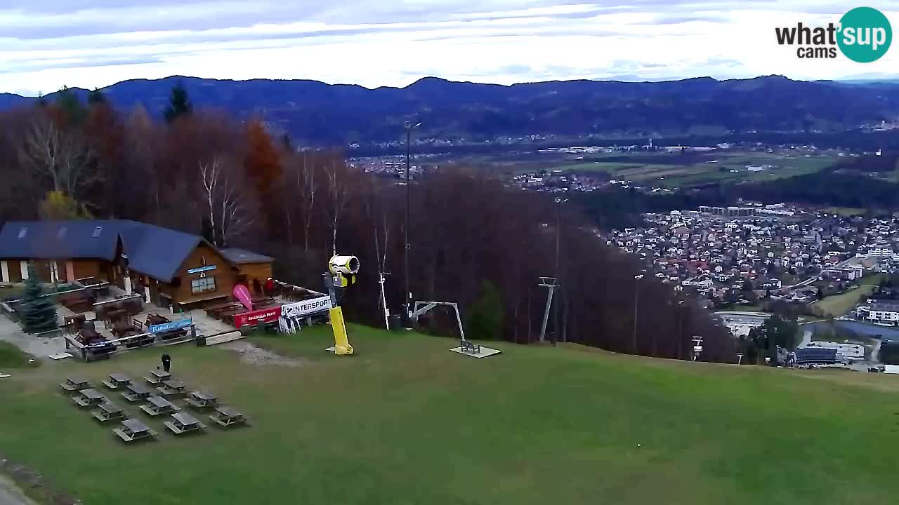 Web Camera Pohorje Trikotna Jasa | Poštela