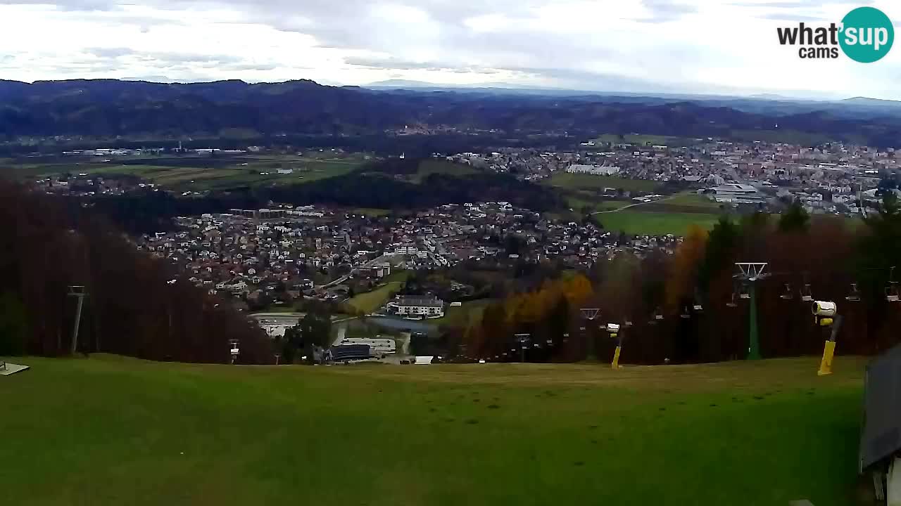 Webcam Pohorje Trikotna Jasa | Poštela