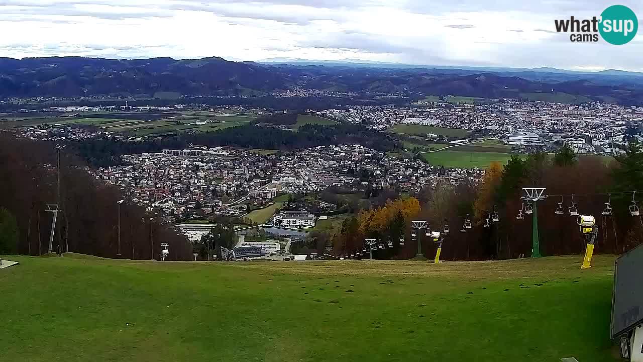 Webcam Pohorje Trikotna Jasa | Poštela