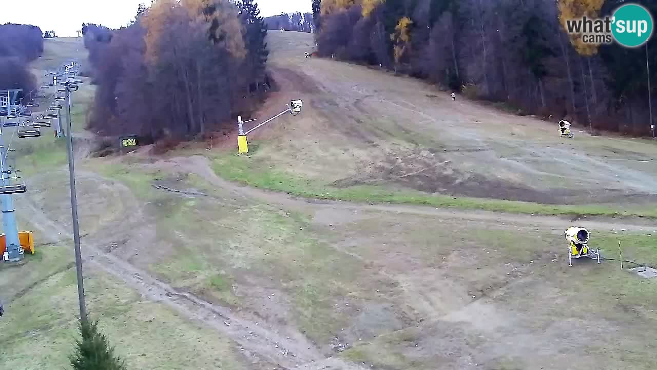 Web Camera Pohorje Trikotna Jasa | Poštela