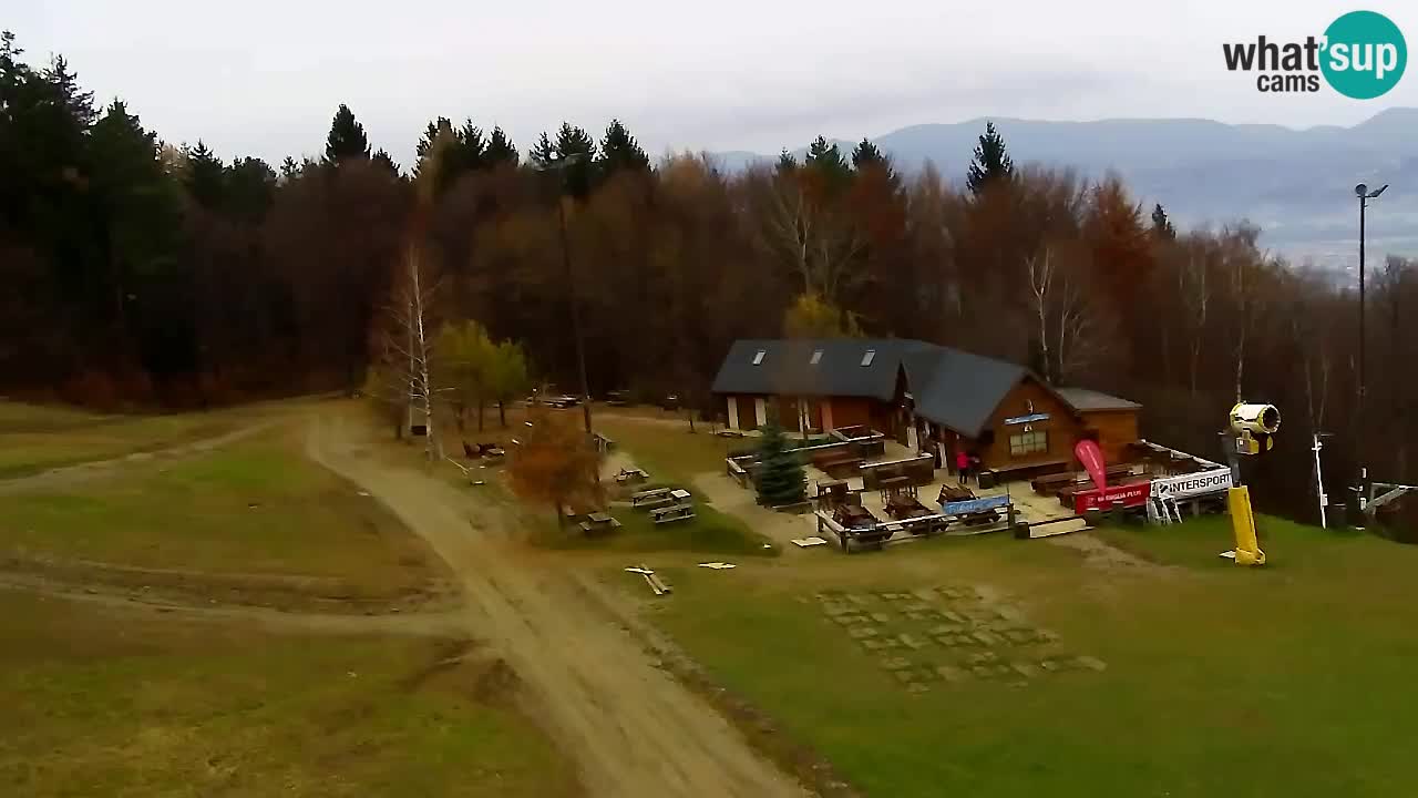 Web Camera Pohorje Trikotna Jasa | Poštela