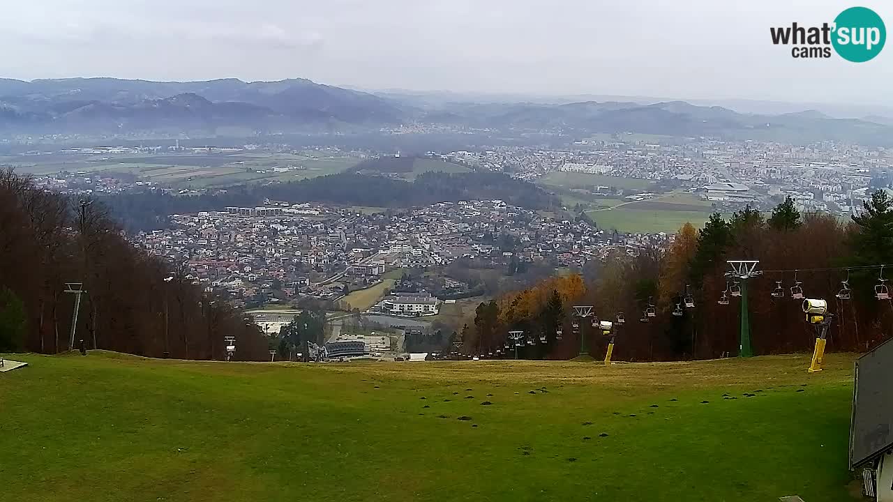 Webcam Pohorje Trikotna Jasa | Poštela