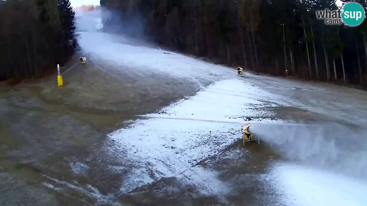 Webcam Pohorje Trikotna Jasa | Poštela