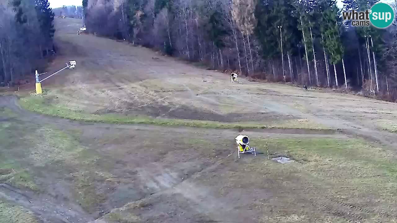 Spletna Kamera Pohorje Trikotna Jasa | Poštela