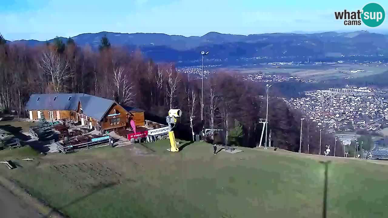 Webcam Pohorje Trikotna Jasa | Poštela