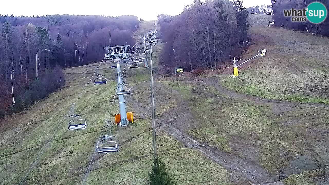 Webcam Pohorje Trikotna Jasa | Poštela