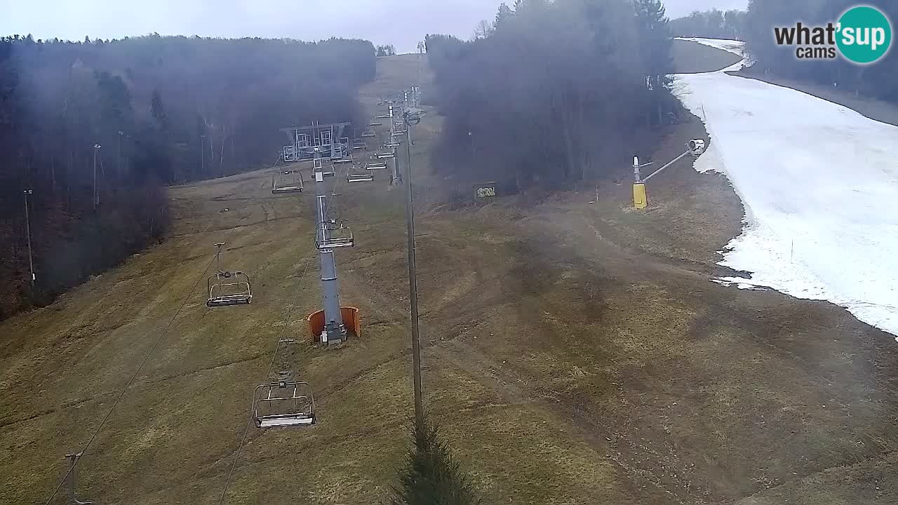 Web Camera Pohorje Trikotna Jasa | Poštela