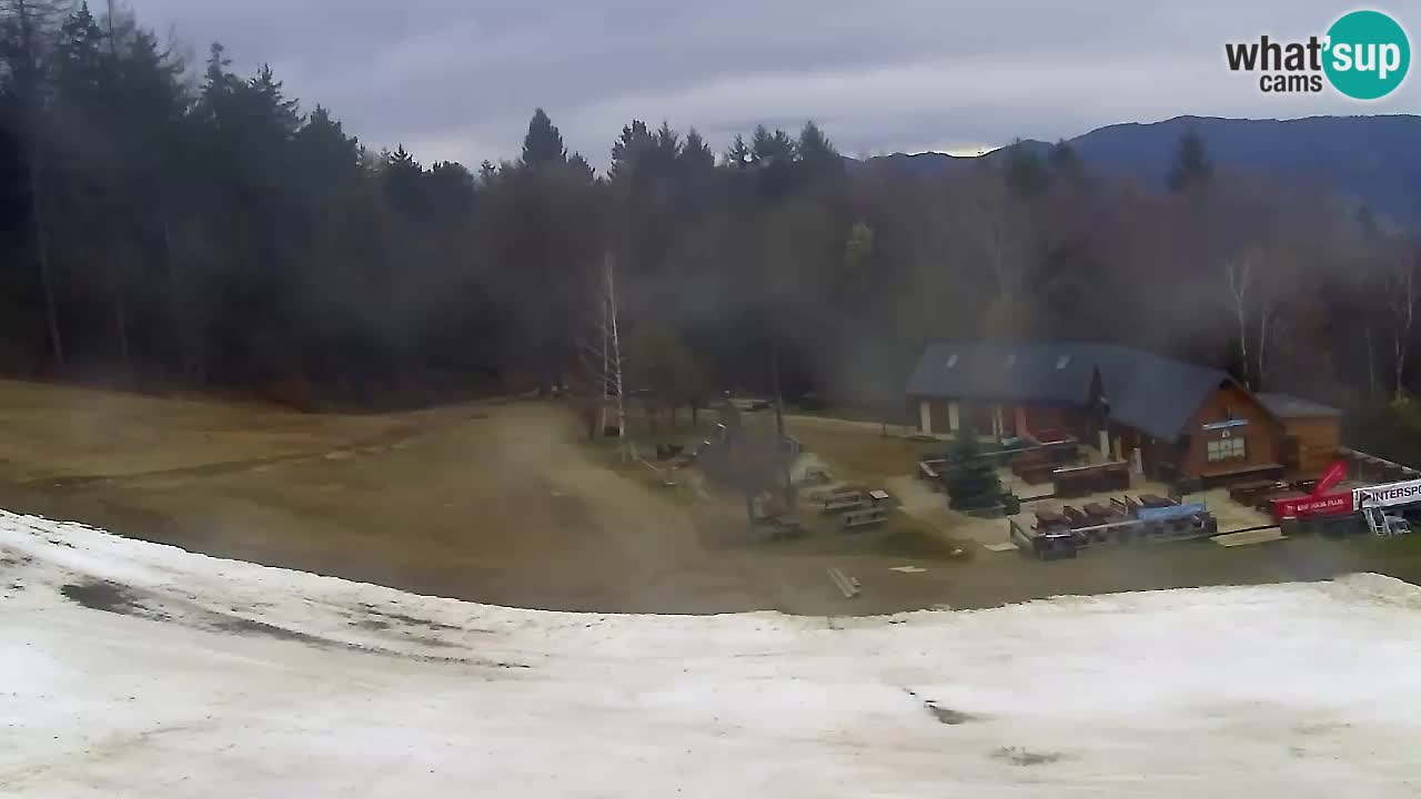 Webcam Pohorje Trikotna Jasa | Poštela