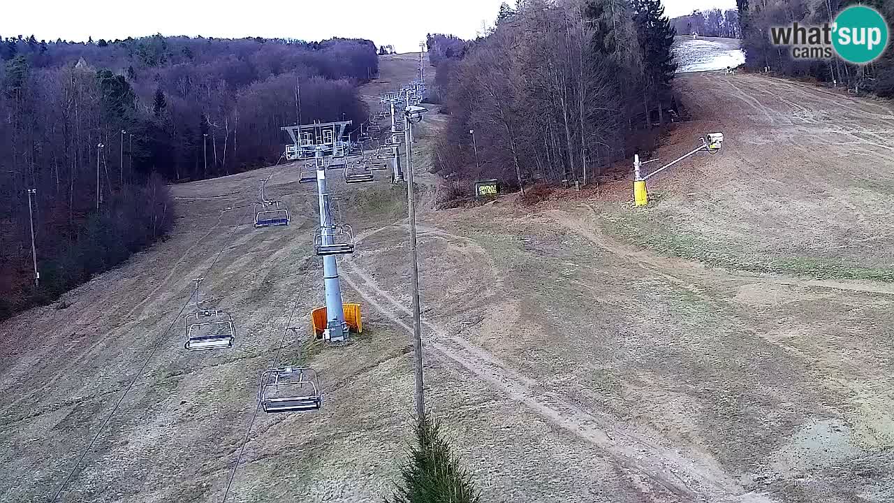 Webcam Pohorje Trikotna Jasa | Poštela