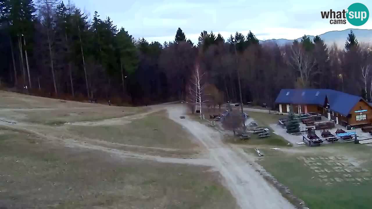 Webcam Pohorje Trikotna Jasa | Poštela