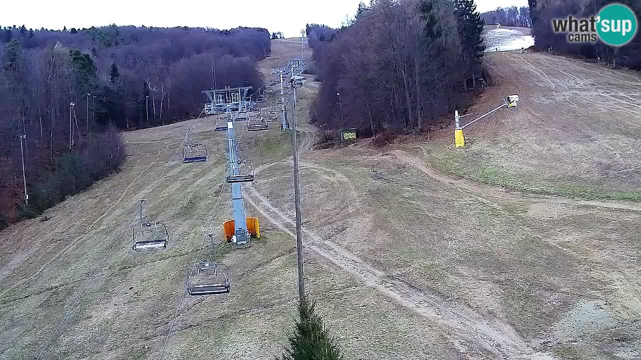 Web Camera Pohorje Trikotna Jasa | Poštela