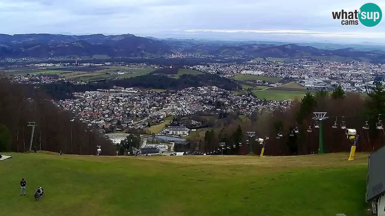 Web Camera Pohorje Trikotna Jasa | Poštela