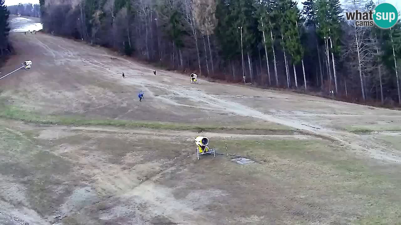 Web Camera Pohorje Trikotna Jasa | Poštela