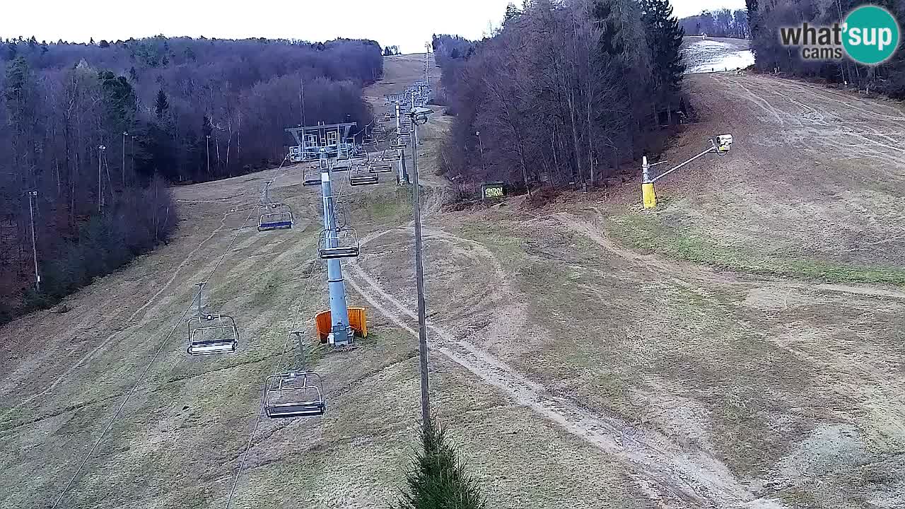 Webcam Pohorje Trikotna Jasa | Poštela