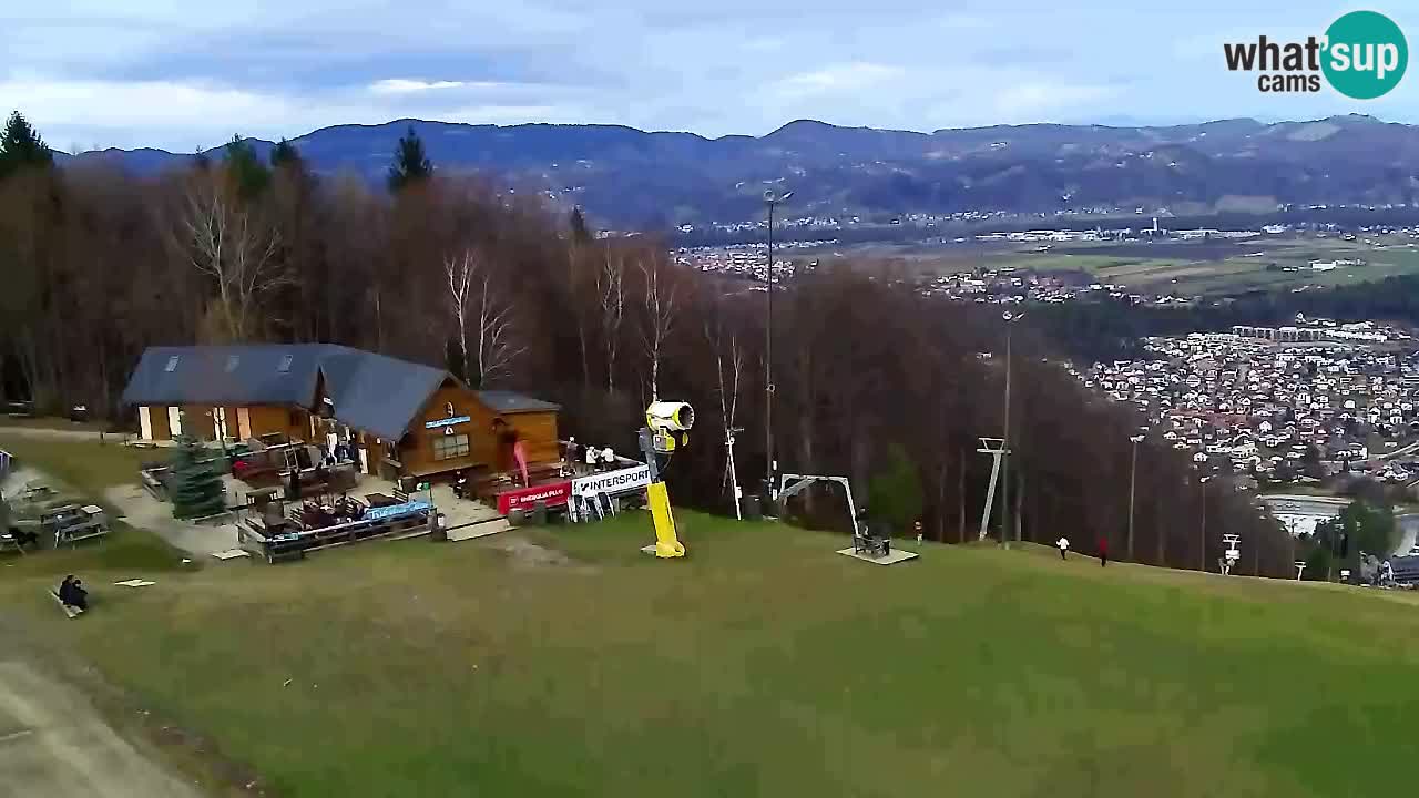 Web Camera Pohorje Trikotna Jasa | Poštela