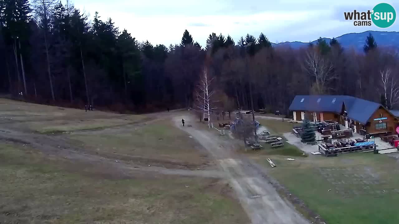 Web Camera Pohorje Trikotna Jasa | Poštela