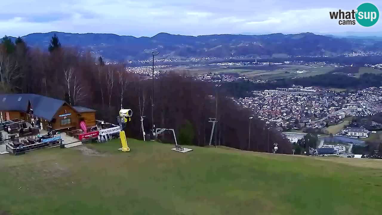 Webcam Pohorje Trikotna Jasa | Poštela