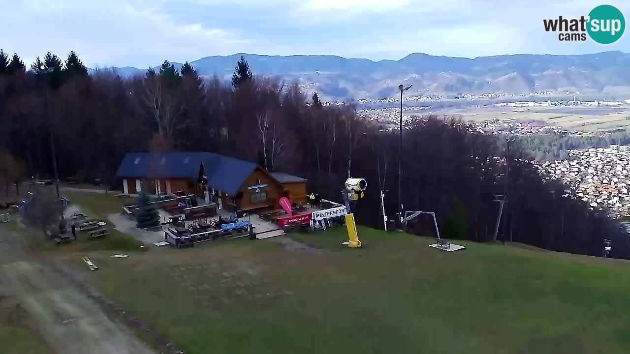 Web Camera Pohorje Trikotna Jasa | Poštela