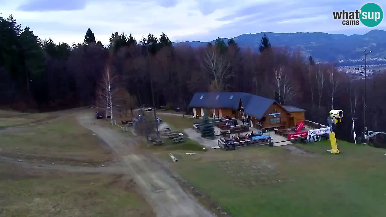 Web Camera Pohorje Trikotna Jasa | Poštela