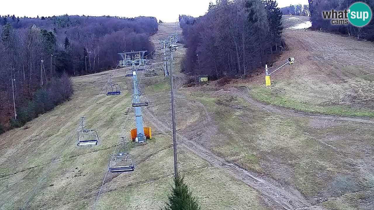 Webcam Pohorje Trikotna Jasa | Poštela