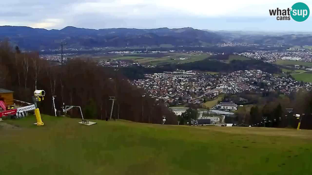 Webcam Pohorje Trikotna Jasa | Poštela