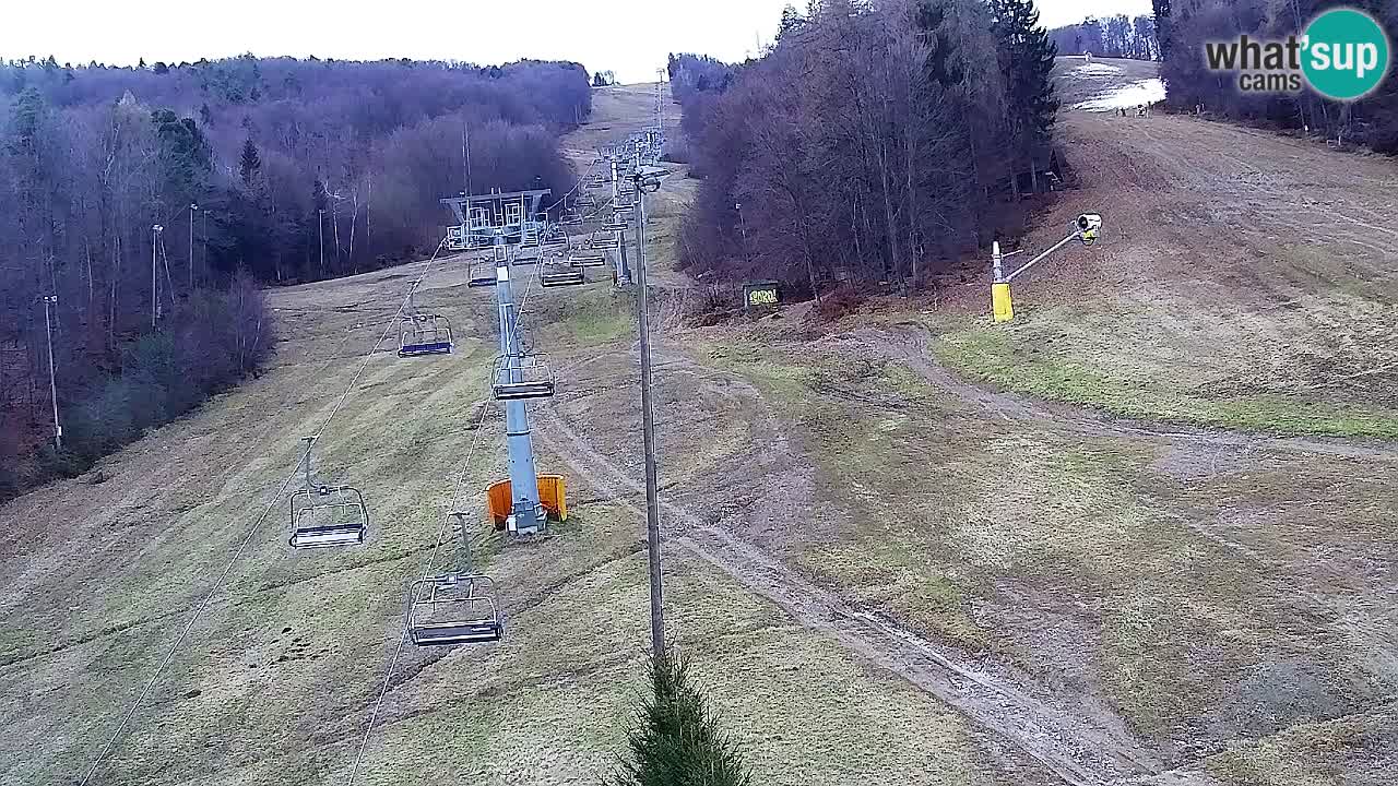 Webcam Pohorje Trikotna Jasa | Poštela